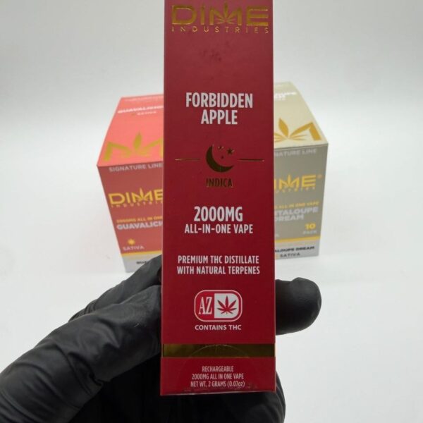 authentic dime industries 2g disposable
