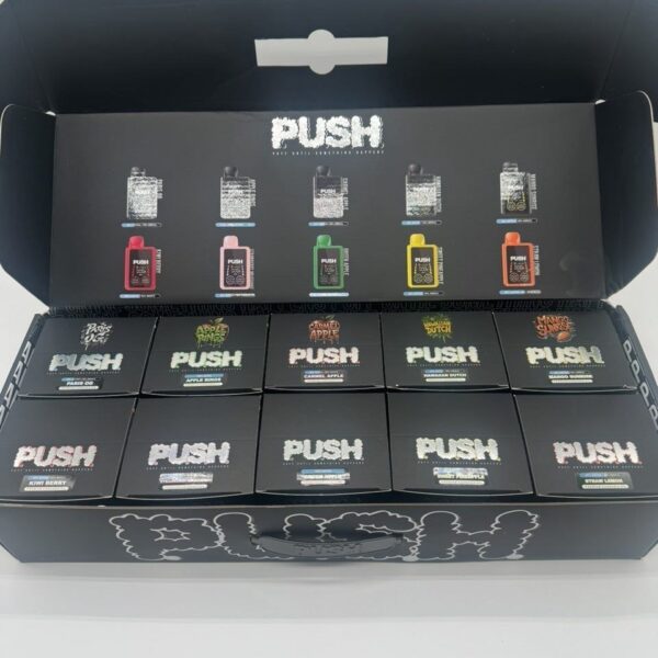 push 2g disposable with screen