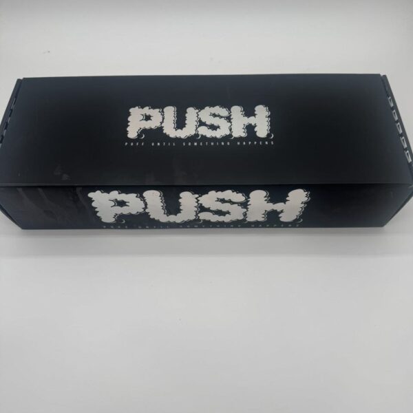 push 2g disposable with screen