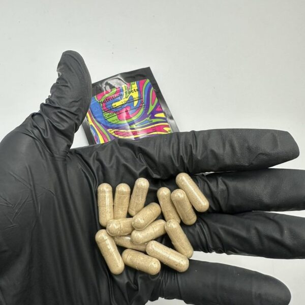 fung guys psilocybin mushroom microdose capsules pills 3.5g