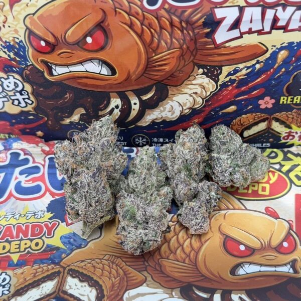 kandy depo x backpack boyz