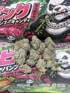 kandy depo x backpack boyz