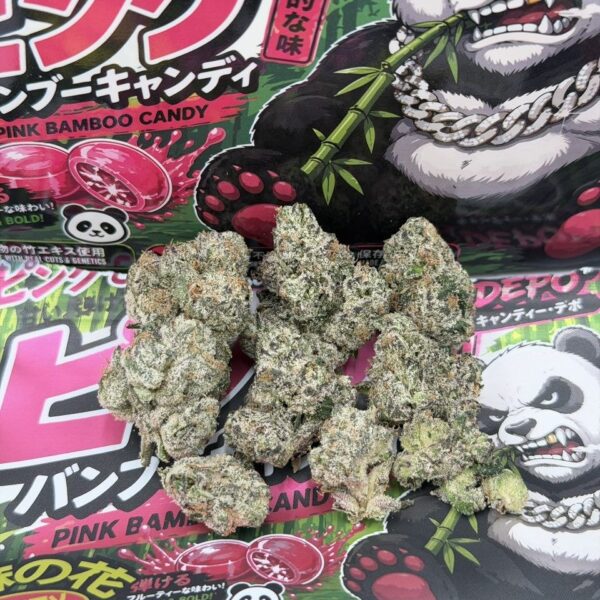 kandy depo x backpack boyz